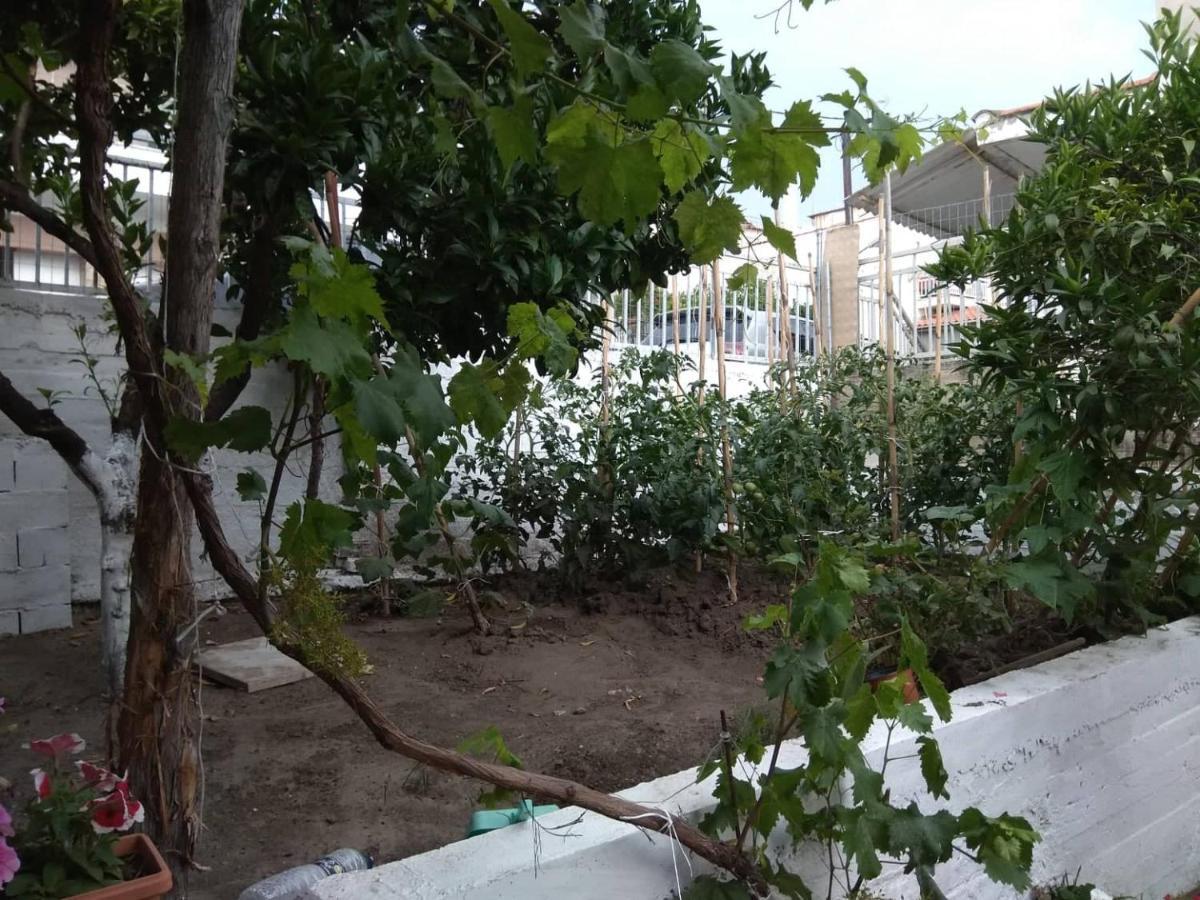 Anastasia' S Guest House 新马尔马拉斯 外观 照片